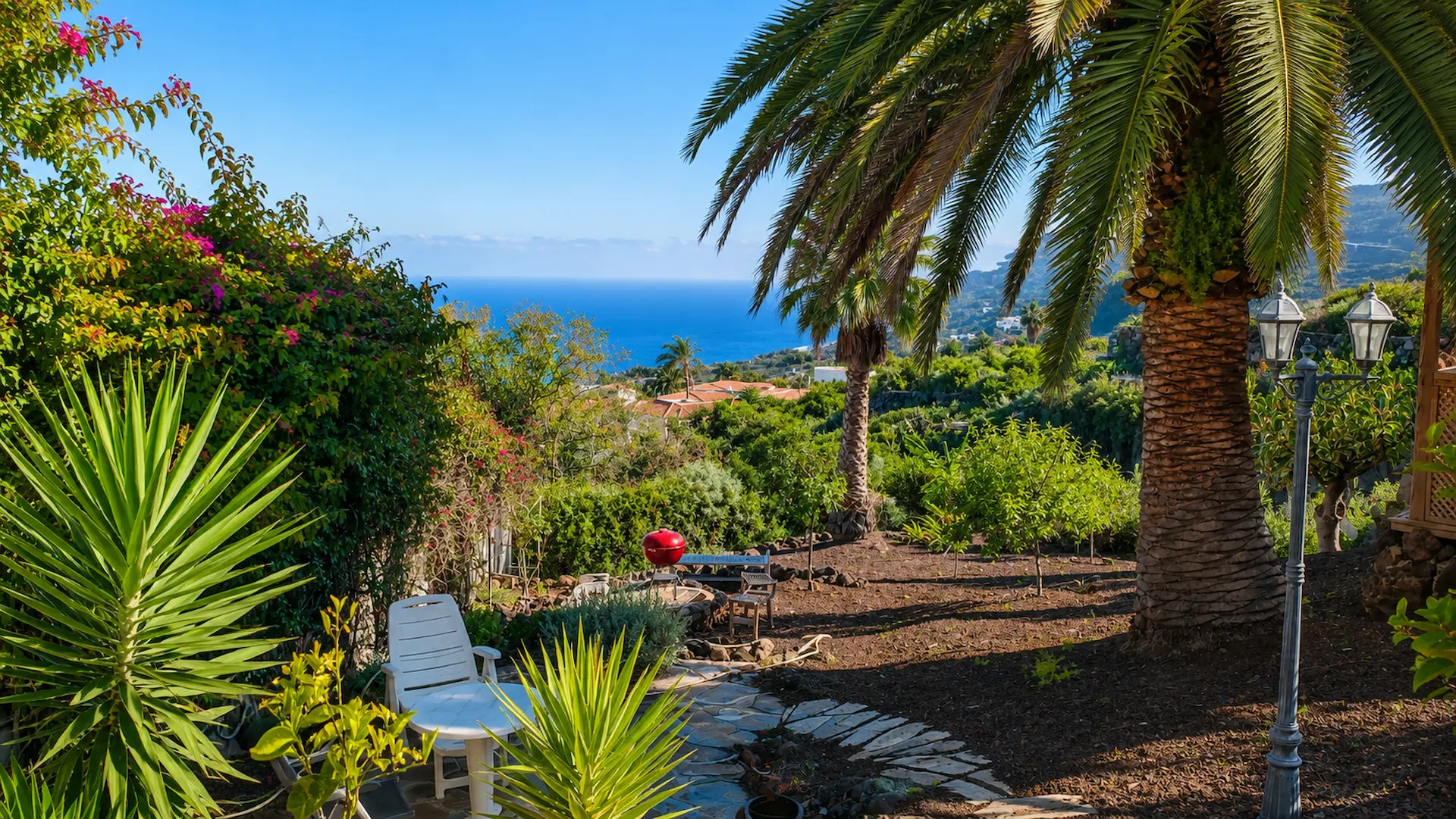 Terrace and barbecue area in the palm garden