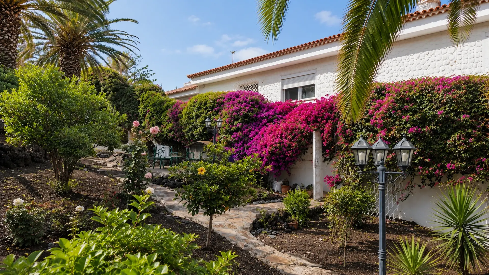 Paths and terrace in the palm garden